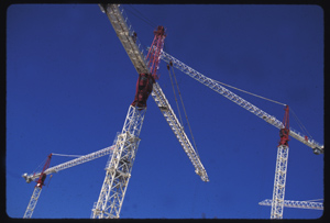 Cranes in celebration, Wellington, New Zealand, © 1995, J. A. Clapp