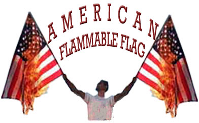 V008-07_flamflag-logo-web