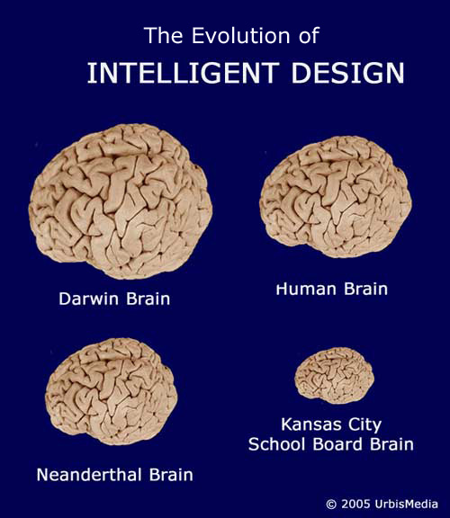 V020-05_intel-design-brain